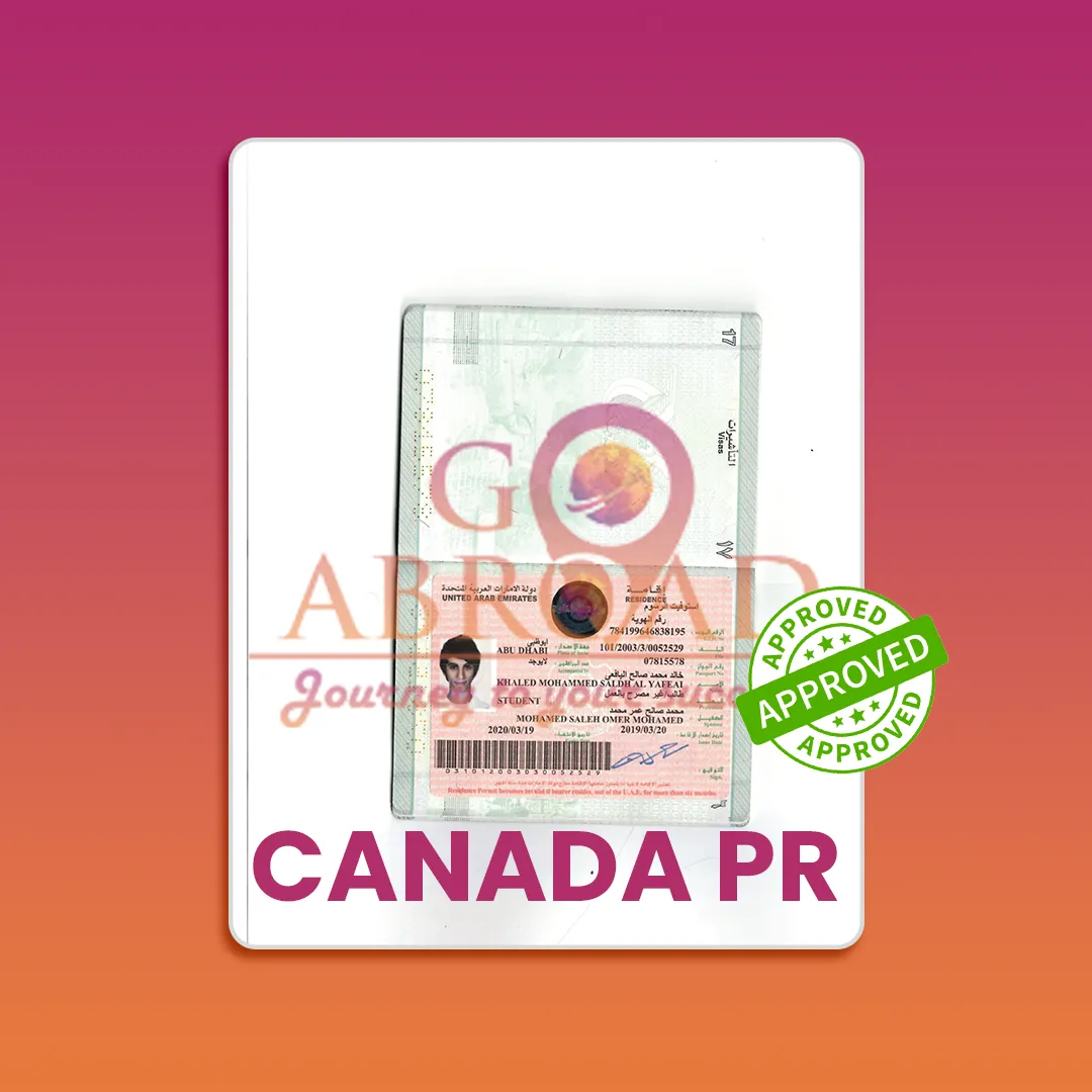 Traveler holding passport and tickets after visa approval